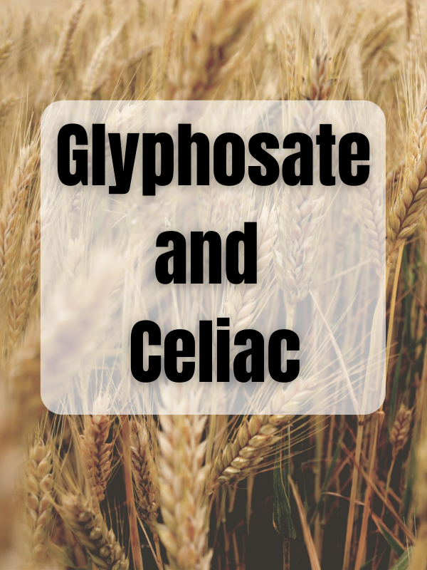 Glyphosate (Roundup): Pathways to Celiac and Gluten Intolerance