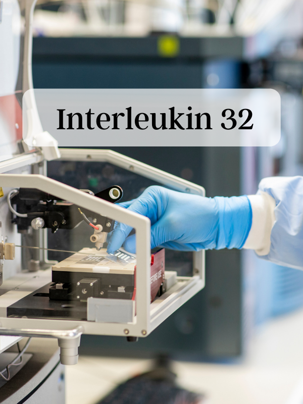 Interleukin 32