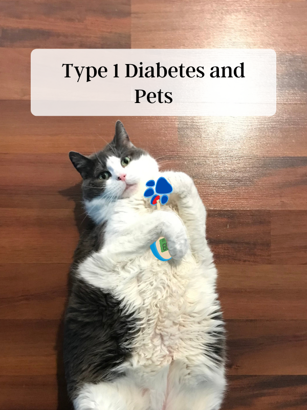 Type 1 Diabetes and Pets